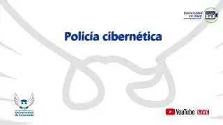 Policía cibernética