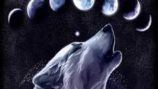 DCUO Wolf Dps - Family Reunion - StarrySky Gaming