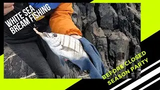 SEA BREAM ROCK FISHING PORTUGAL - UUUU....WHO FART???