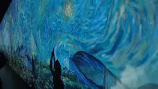 Van Gogh Dijital G&ouml;rsel Sergi Cer Modern Ankara