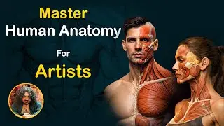 Master Human Anatomy for Artists - The Ultimate Drawing & Sculpting Guide