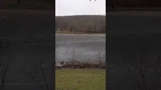 #connecticut #frozen #lake #winter #walkthrough #tranquility #meditation #inspiration #asmr #outdoor