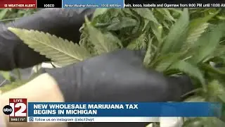 New marijuana tax supporting Michigan roads may raise costs for consumers