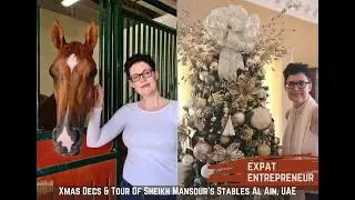 Jenny Hunt Expat Entrepreneur Weekly Vlog: Xmas Decs & Tour Of Sheikh Mansour's Stables Al Ain, UAE
