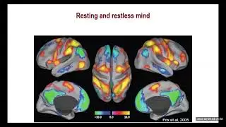 Innovation Talks &mdash; Training of Attention and Self-Control: Brain-Body Mechanisms and Applications