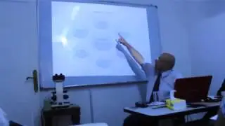 فوائد الأزولا كقيمة غذائية واقتصادية ..