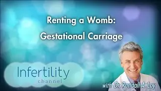 Renting a Womb: Gestational Carriage