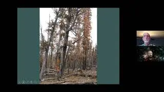 Opportunities for shared stewardship after fire in Carlton Ridge - M. Manning and J. Crotteau