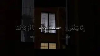 ̨﷽