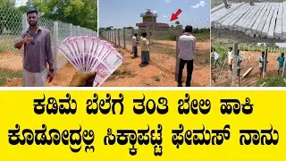 ಕಡಿಮೆ ಬೆಲೆಗೆ ತಂತಿ ಬೇಲಿ ಹಾಕಿ ಕೊಡೋದ್ರಲ್ಲಿ ಸಿಕ್ಕಾಪಟ್ಟೆ ಫೇಮಸ್ ನಾನು||Low budget fencing work