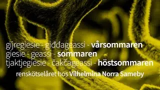 2. Rensk&ouml;tsel&aring;ret giesie -&nbsp;geassi - sommaren