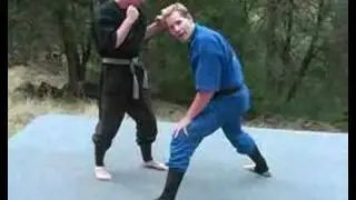 Rick Tew Triangulation Ninjitsu Training Martial arts Camp