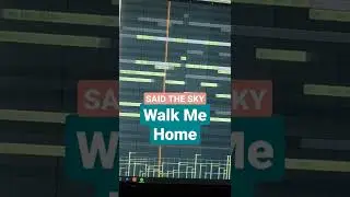 Guitar Said The Sky - Walk Me Home