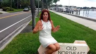 Historic Old Northeast neighborhood near downtown st Petersburg Florida
