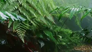 Rain Sounds + White Noise for Newborn Sleep &ndash; 7 HOURS
