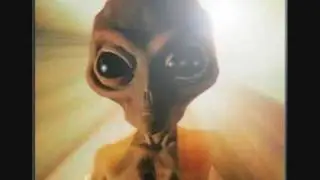 Star Visitors