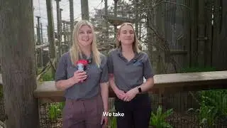 Sustainability at Scale | Reuse at the Toronto Zoo with Friendlier