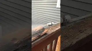 Metal Rocket Nozzle Test 1 #sugarrocket