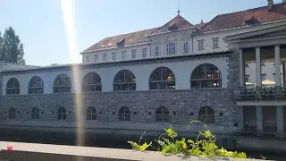 Slovenia's Pet-Friendly Airbnb Tour, and  walking in Slovenia's Charming Capital, Ljubljana