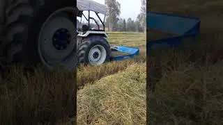 Paddy Slasher (Cutter)