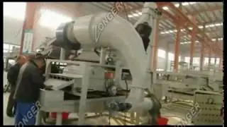 Ameican Pine Nut Cracker Shelling Machine Sheller how to get pine nuts out of shell