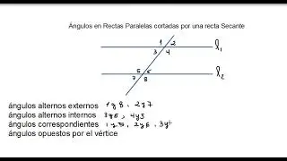 &Aacute;ngulos en Rectas Paralelas cortadas por una recta Secante