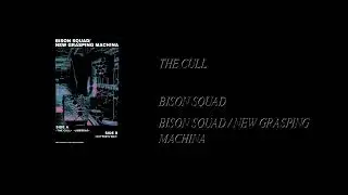 Bison Squad / New Grasping Machina - Bison Squad / New Grasping Machina [Full Cassette Rip]