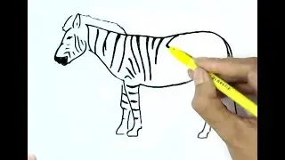 How to draw  a zebra  in easy steps, step by step for beginners