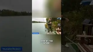 Kenai River Live Stream: Where Are Sam and Sally? #shorts