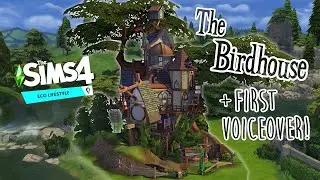 I Made A Giant Birdhouse In The Sims 4 || Eco Lifestyle || MY FIRST VOICEOVER || No CC