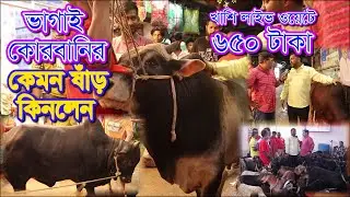 নয়ন ভাই ভাগাই কোরবানির জন্য কেমন ষাঁড় কিনলেন | লাইভ ওয়েটে খাশি বিক্রি ৬৫০ টাকায় | নয়ন গোস্ত বিতান |