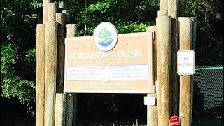 Morrison Spring