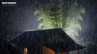 Rain Sounds and Thunder on Cabin Roof | Natural Night Storm Sounds for Deep Sleep ASMR