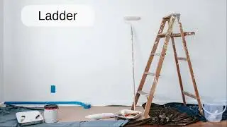 Ladder: English word pronunciation - Read Along (Australian Accent) Picture Dictionary