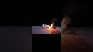 Poopy Puppy Firework! 😂🐶 | Go Polly!