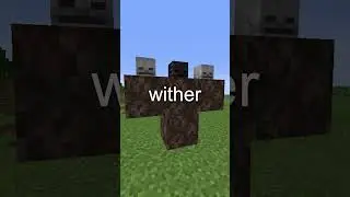 The Secret Behind The Nether Fossil's In Minecraft