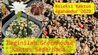 Syarat Greenhouse dan Koleksi Kaktus Eganandur 2020