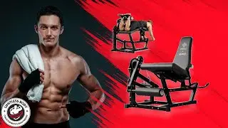 Why Do Pro Trainers Choose The Mikolo Leg Extension Machine?
