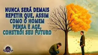 COMPORTAMENTO E VIDA _ MANOEL PHILOMENO DE MIRANDA - PSICOGRAFIA DE DIVALDO FRANCO