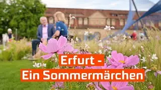 99 Tage BUGA! Ein erstes Resümee