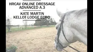 HRCAV Online Dressage. Advanced A.3. Kate Martin. Kellot Lodge Echo.