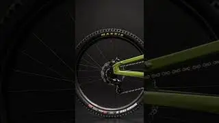 Custom Bike от Fanatik: Crestline Limited Edition RS 205 VHP