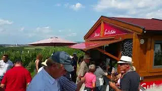 WiWa-Lokal.de - Weinwanderung Rauenberg 2017