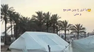 شويه فضفضه من المواصي😪 الحمدلله على نعمة الإسلام وأننا مسلمون والا كنا فقدنا عقولنا من هول ما نعيشه