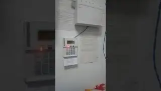 Panic Alarm system