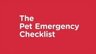 The Pet Emergency Checklist - Vets Now Pet Safety Advice