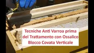 Tecniche Anti Varroa prima del Trattamento con Ossalico Gocciolato - Blocco Covata Verticale