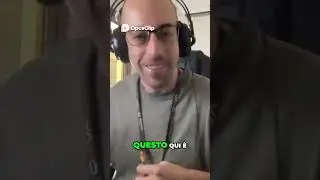AI: The Next Level Of Human Evolution