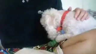 crash into me (take 2)