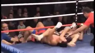 Flying Armbar MMA Compilation